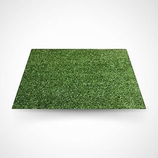 Análisis del Roll of Artificial Grass Carpet: opción de Césped Artificial Barato